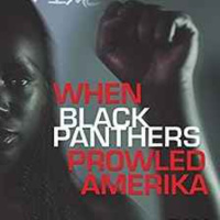Dr. Pam - When Black Panthers Prowled Amerika