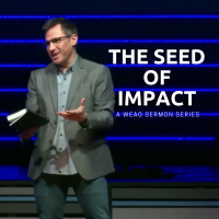 The Seed of Impact