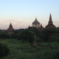 Two Bens on the Road