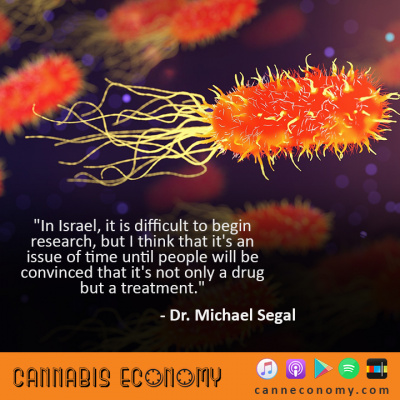 Cannabis Economy