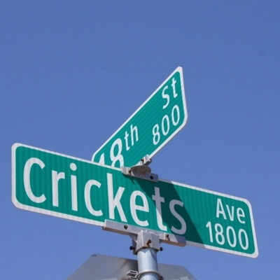 Teachable Moments With Toni Emehel