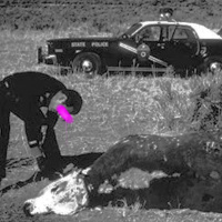 40. Blowmind Show with Pete Weiss And Keith Morris - Cattle Mutilation
