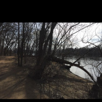 testing out the Shure MV 88 stereo microphone into the iPhone on the audioBoom app