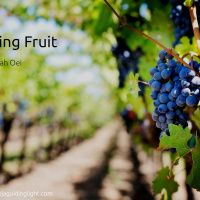 Bearing Fruit (English - Bahasa Indonesia)