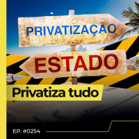 SENADO DISCUTE PEC QUE PODE PRIVATIZAR PRAIAS BRASILEIRAS - FLOW NEWS - #254 #FN