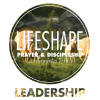 LifeShape: Leadership