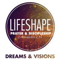 LifeShape: Dreams and Visions