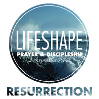 LifeShape: Resurrection