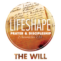 LifeShape: The Will