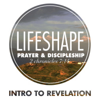 LifeShape: Into to Revelation