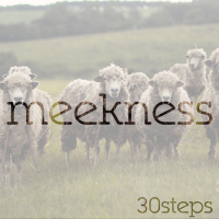 Step 17: Meekness