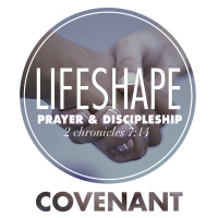 LifeShape: Covenant