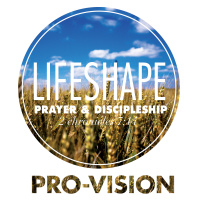 LifeShape: Pro-Vision
