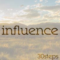 Step 12: Influence