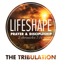 LifeShape: Tribulation