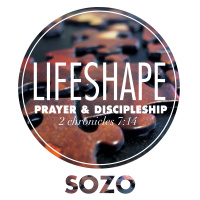 LifeShape: Sozo
