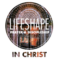 LifeShape: In Christ