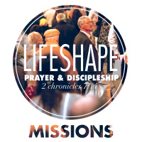 LifeShape: Missions