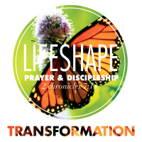 LifeShape: Transformation