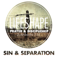LifeShape: Sin  Seperation