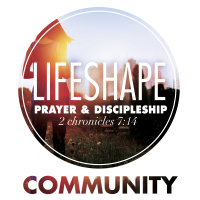LifeShape: Community