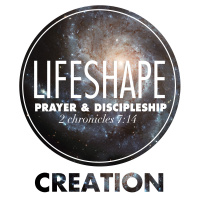 LifeShape: Creation