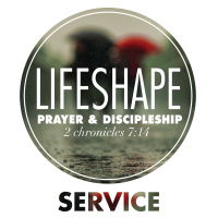 LifeShape: Service