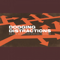 The Distraction of Distraction (Audio)