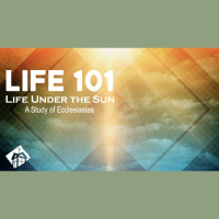 The Search Continues (Audio)