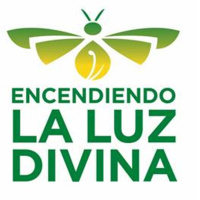 El arte curativo de los libros