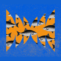 Ologies: Dark Matters