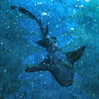 The Shark Inside You