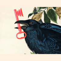 The Library of Alexandra