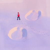 Terrestrials: The Snow Beast