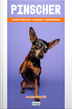 Minibook Pinscher: Características, cuidados, curiosidades