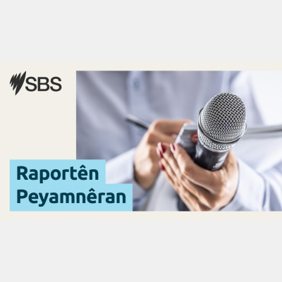 Sbs Kurdish - Sbs Kurdî