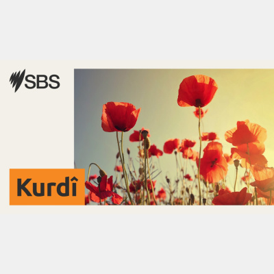 Sbs Kurdish - Sbs Kurdî