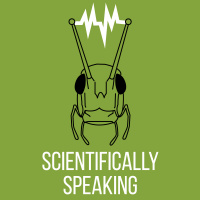 #26 Octopuses part 2: Octocommunism