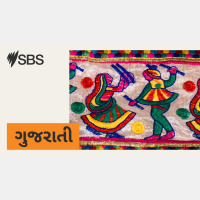 ભારતના મુખ્ય સમાચાર: 19 નવેમ્બર 2025