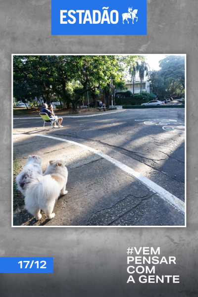 Estadão - 17/12/2024