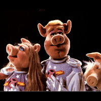 S5 Ep4: Elon! In! Space!