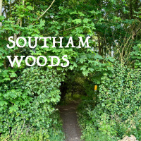 Sleeping Beneath the Stars: Thoreau, Simplicity  the Sacred Ordinary