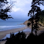 Teaching Thomas Podcast