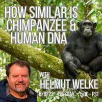 240 How Similar Are Chimpanzee amp Human DNA with Helmut Welke