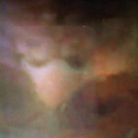 Remembering Johnny Tan