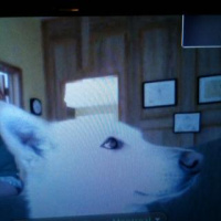 How to capture a terrorist