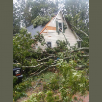 Close call for Tena Bower who saw the tree coming at her in the door