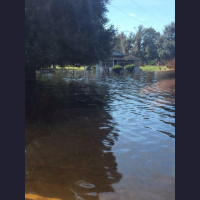 Eutawville South Carolina Residents Like April Atkinson Worry As Water Rises 