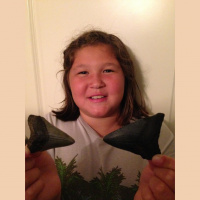 How to find Shark Teeth - advice from a 9 year old who found 500 in a weekend including two of the biggest SC has seen in a long time.