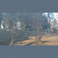 Witness describes the arrest of a murder suspect in the Hillcrest Area 